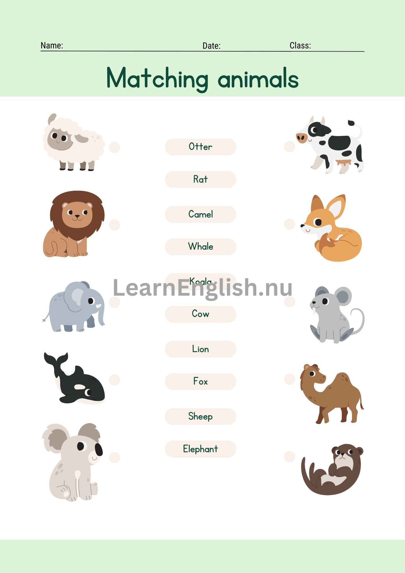 اسماء الحيوانات بالانجليزي بالصور والصوت